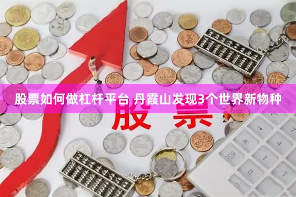 股票如何做杠杆平台 丹霞山发现3个世界新物种